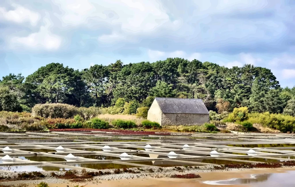 Marais salants avec tas de sel et cabane en pierre au milieu des pins, Guérande