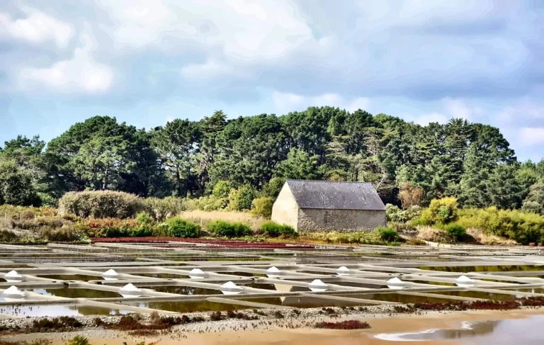 Marais salants avec tas de sel et cabane en pierre au milieu des pins, Guérande